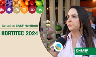 Juliana Senna, Gerente de Marketing HFs e Citrus Brasil BASF