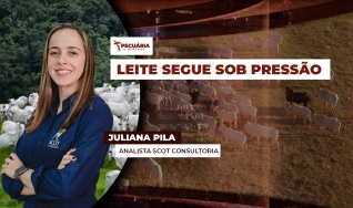 Juliana Pila - Analista Scot Consultoria