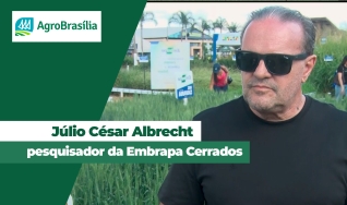Júlio César Albrecht pesquisador da Embrapa Cerrados