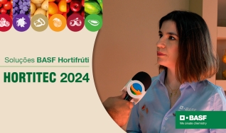 Katty Corrente, Líder de MKT Sistemas Produtivos Hortifruti BASF