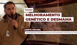 Laerte Rochel - Coordenador do Promebo, Programa de Melhoramento de Bovinos de Carne