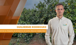 Guilherme Rodriguez - Gestor da Pesquisa de Estimativa de Safra (PES) do Fundecitrus