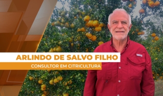 Arlindo de Salvo Filho - Consultor em Citricultura