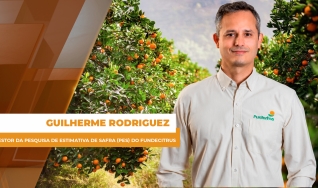 Guilherme Rodriguez - Gestor da Pesquisa de Estimativa de Safra (PES) do Fundecitrus