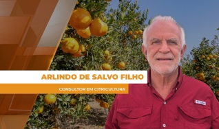 Arlindo de Salvo Filho - Consultor em Citricultura