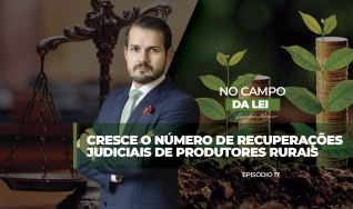 Leandro Marmo, Sócio e CEO da @joaodomingosadvogados