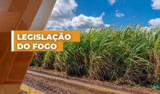 Naja Barros e Helena Della Torre - Coordenadora da ASSOMOGI e Advogada Especialista em Direito Ambiental