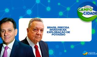 Brasil precisa investir na produção interna de potássio