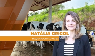 Natália Grigol - Pesquisadora do Cepea