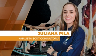 Juliana Pila - Analista Scot Consultoria
