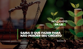 Letícia Moura