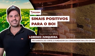 Lorenzo Junqueira - Pecuarista de corte e fundador da comunidade Balcão do Boi