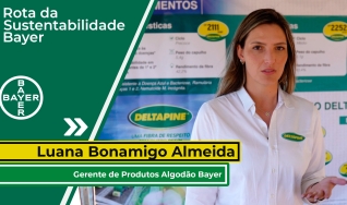 Luana Bonamigos Almeida