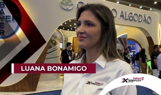 Luana Bonamigo - Gerente de Produtos de Algodão da Bayer