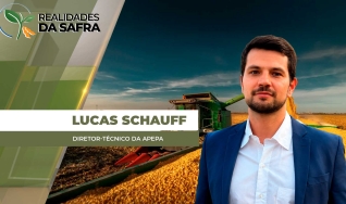 Lucas Schauff - Diretor-Técnico da APEPA