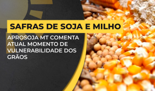 Lucas Beber - Presidente da Aprosoja MT