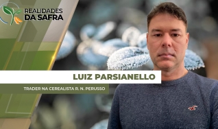 Luiz Parsianello - Trader na Cerealista R. N. Perusso