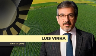 Luis Vinha - Sócio da [BIM]³