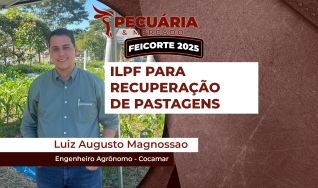 Luiz Augusto Magnossao