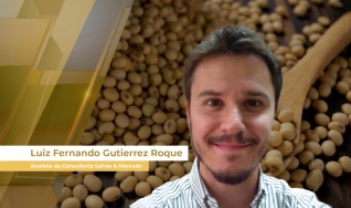 Luiz Fernando Gutierrez Roque - Analista da Consultoria Safras & Mercado