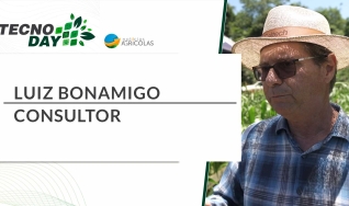 luiz Bonamigo - Consultor