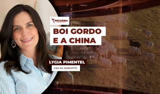 Lygia Pimentel - CEO da Agrifatto