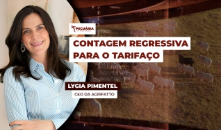 Lygia Pimentel - CEO da Agrifatto