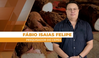 Fábio Isaias Felipe - Pesquisador do Cepea