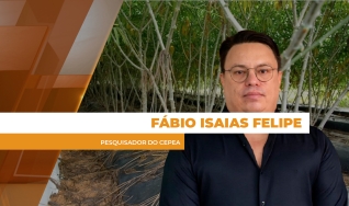 Fábio Isaias Felipe - Pesquisador do Cepea
