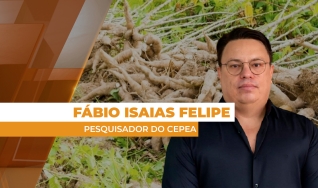 Fábio Isaias Felipe - Pesquisador do Cepea