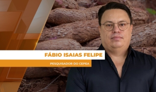 Fábio Isaias Felipe - Pesquisador do Cepea