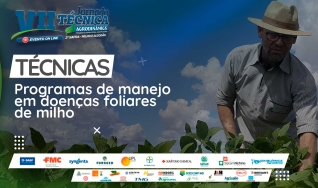 Apresentação Técnica