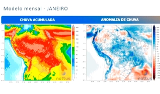 Desirée Brandt - Meteorologista da Nottus