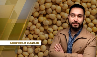 Marcelo Gavlik - Sócio e Assessor de Investimentos da Getreide Investimentos