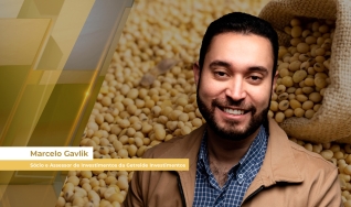 Marcelo Gavlik - Sócio e Assessor de Investimentos da Getreide Investimentos