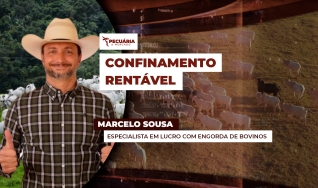 Marcelo Sousa - Especialista em lucro com engorda de bovinos