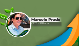 Marcelo Prado