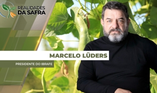 Marcelo Lüders - Presidente do IBRAFE