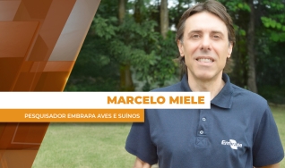Marcelo Miele - Pesquisador da Embrapa Aves e Suínos
