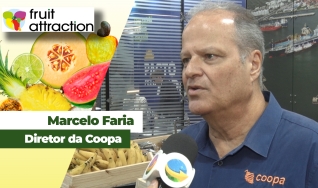 Marcelo Faria
