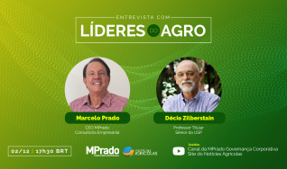 Décio Zilberstain - Professor Titular Senior da USP