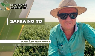 Marcílio Fernandes Marangoni - Engenheiro Agrônomo de Darcinópolis - TO