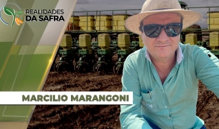 Marcílio Fernandes Marangoni - Engenheiro Agrônomo de Darcinópolis - TO