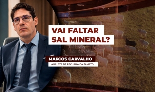 Marcos Carvalho - Analista de Pecuária da Famato