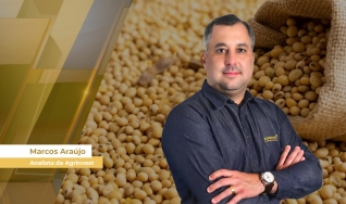 Marcos Araújo - Analista da Agrinvest