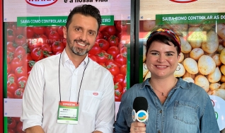Flutuação nos preços do tomate vem desde o final de 2021, com atraso no plantio e dificuldades climáticas nas regiões produtoras