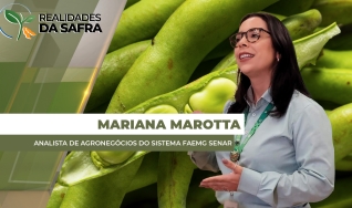 Mariana Marotta - Analista de Agronegócios do Sistema Faemg Senar