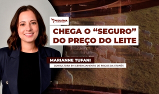 Marianne Tufani - Consultora em Gerenciamento de Riscos da StoneX