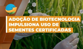 Marina Menin - Líder Comercial de Soja e Algodão / Divisão Agrícola Bayer