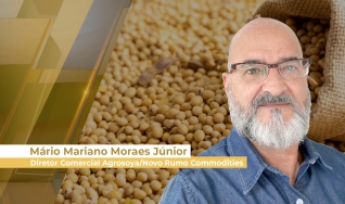 Mário Mariano Moraes Júnior - Diretor Comercial Agrosoya/Novo Rumo Commodities